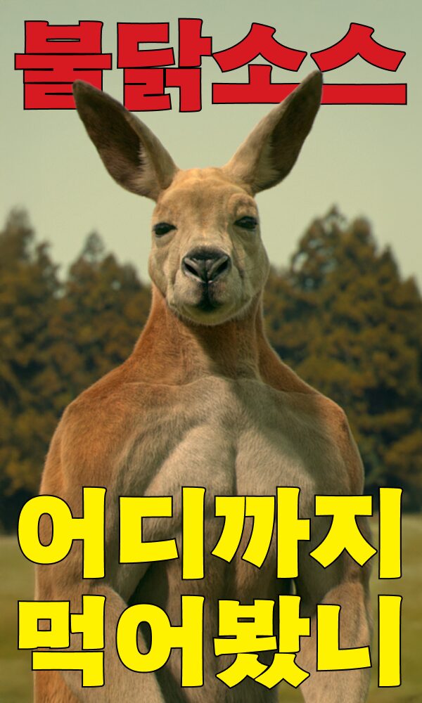 배너 이미지