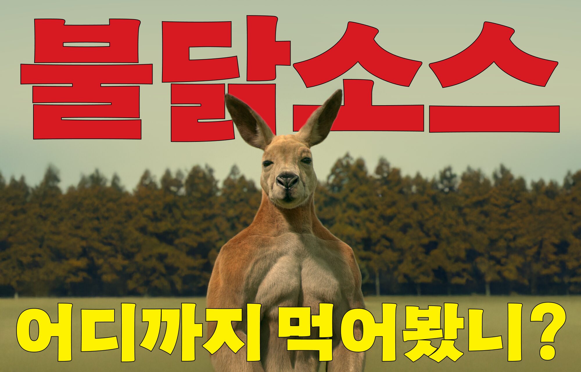 배너 이미지
